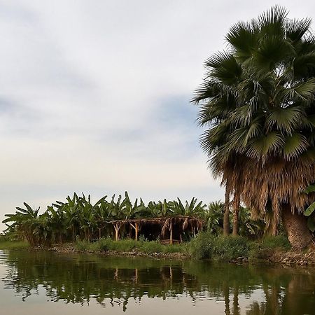 Il Campo Boutique Ecolodge El Hawamdeya المظهر الخارجي الصورة
