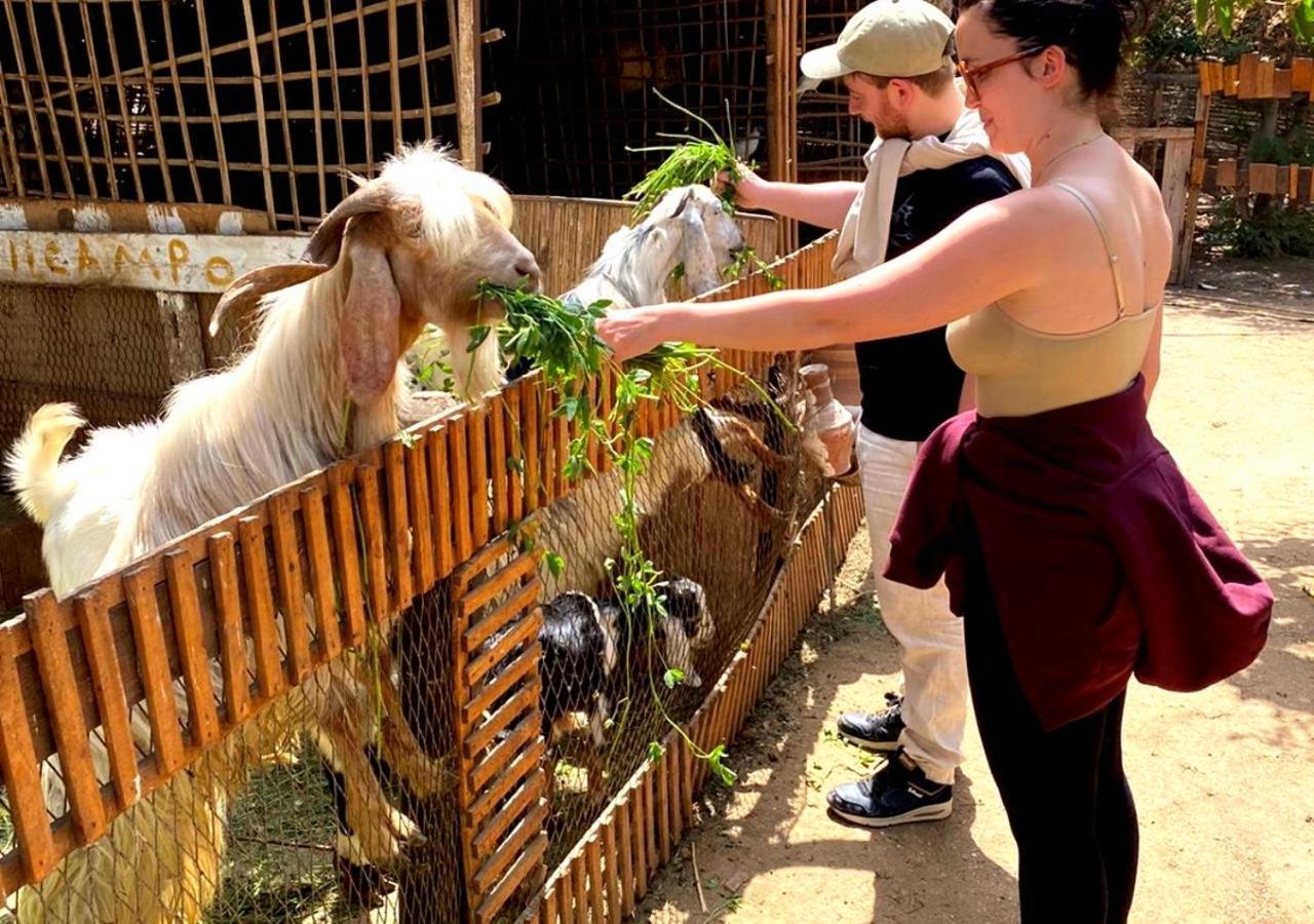 Il Campo Boutique Ecolodge El Hawamdeya المظهر الخارجي الصورة